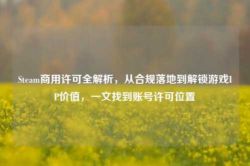 Steam商用许可全解析,从合规落地到解锁游戏IP价值,一文找到账号许可位置