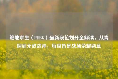 绝地求生（PUBG）最新段位划分全解读，从青铜到无敌战神，每级皆是战场荣耀勋章