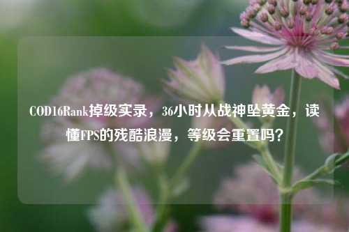COD16Rank掉级实录,36小时从战神坠黄金,读懂FPS的残酷浪漫,等级会重置吗?