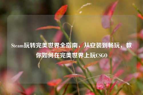 Steam玩转完美世界全指南,从安装到畅玩,教你如何在完美世界上玩CSGO