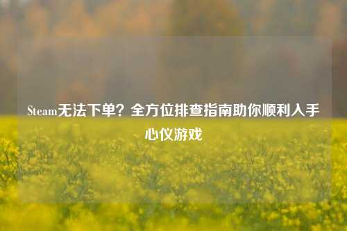 Steam无法下单?全方位排查指南助你顺利入手心仪游戏