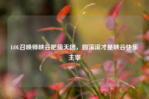 LOL召唤师峡谷肥萌天团，圆滚滚才是峡谷快乐主宰