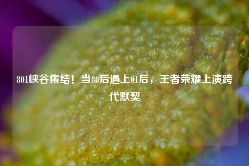 801峡谷集结！当80后遇上01后，王者荣耀上演跨代默契