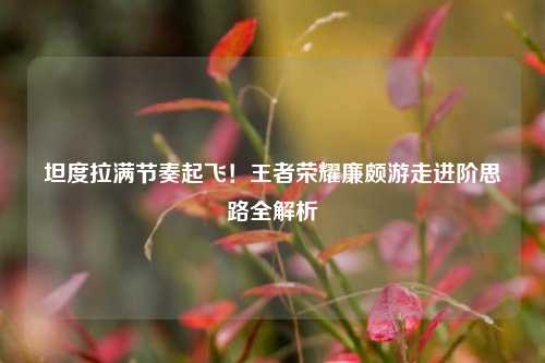 坦度拉满节奏起飞!王者荣耀廉颇游走进阶思路全解析