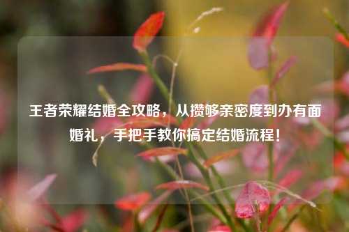 王者荣耀结婚全攻略,从攒够亲密度到办有面婚礼,手把手教你搞定结婚流程!