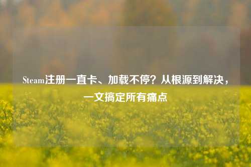 Steam注册一直卡、加载不停？从根源到解决，一文搞定所有痛点