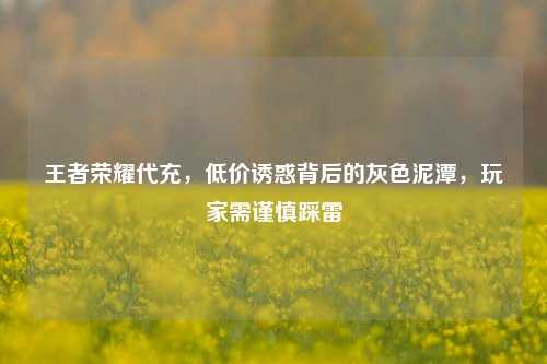 王者荣耀代充,低价诱惑背后的灰色泥潭,玩家需谨慎踩雷