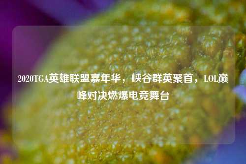 2020TGA英雄联盟嘉年华,峡谷群英聚首,LOL巅峰对决燃爆电竞舞台