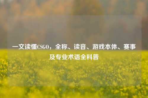 一文读懂CSGO,全称、读音、游戏本体、赛事及专业术语全科普