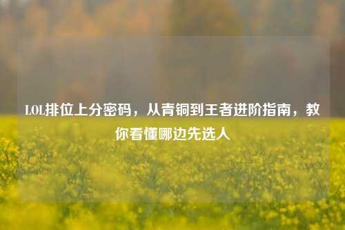 LOL排位上分密码,从青铜到王者进阶指南,教你看懂哪边先选人