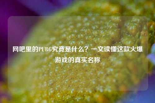网吧里的PUBG究竟是什么？一文读懂这款火爆游戏的真实名称