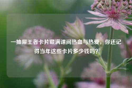 一抽屉王者卡片藏满课间热血与热爱，你还记得当年这些卡片多少钱吗？