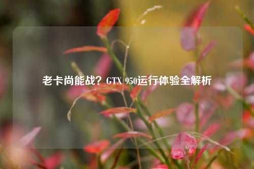 老卡尚能战?GTX 950运行体验全解析