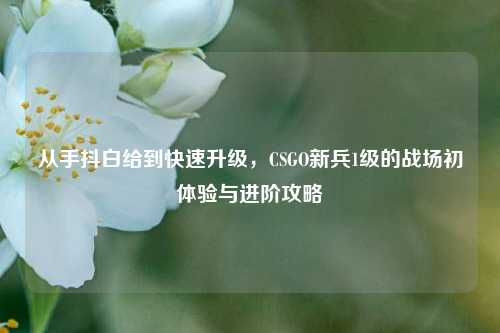 从手抖白给到快速升级,CSGO新兵1级的战场初体验与进阶攻略