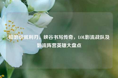 暗影织就利刃，峡谷书写传奇，LOL影流战队及影流阵营英雄大盘点