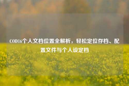 COD16个人文档位置全解析,轻松定位存档、配置文件与个人设定档