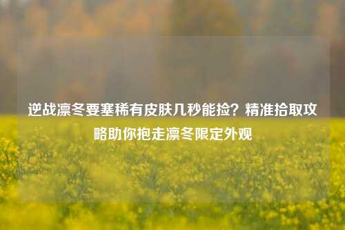 逆战凛冬要塞稀有皮肤几秒能捡?精准拾取攻略助你抱走凛冬限定外观