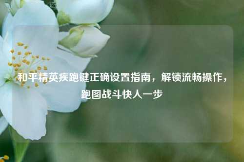 和平精英疾跑键正确设置指南,解锁流畅操作,跑图战斗快人一步