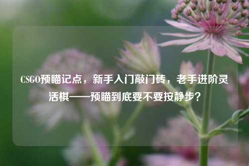 CSGO预瞄记点,新手入门敲门砖,老手进阶灵活棋——预瞄到底要不要按静步?