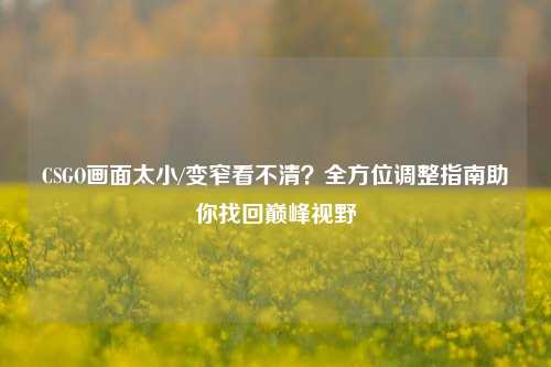 CSGO画面太小/变窄看不清?全方位调整指南助你找回巅峰视野