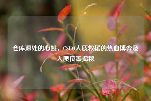 仓库深处的心跳,CSGO人质救援的热血博弈及人质位置揭秘