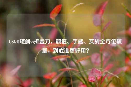 CSGO短剑vs折叠刀,颜值、手感、实战全方位较量,到底谁更好用?