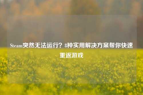 Steam突然无法运行?8种实用解决方案帮你快速重返游戏