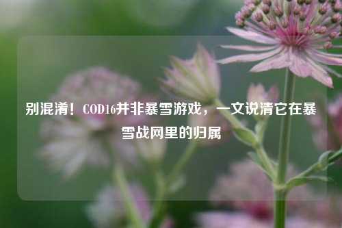 别混淆!COD16并非暴雪游戏,一文说清它在暴雪战网里的归属