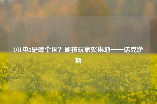 LOL电3是哪个区?硬核玩家聚集地——诺克萨斯