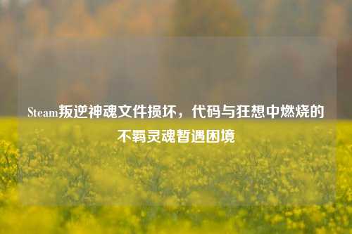 Steam叛逆神魂文件损坏,代码与狂想中燃烧的不羁灵魂暂遇困境