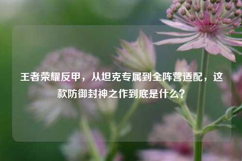 王者荣耀反甲,从坦克专属到全阵营适配,这款防御封神之作到底是什么?
