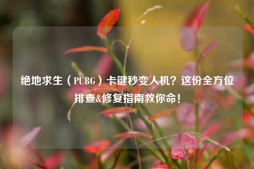 绝地求生（PUBG）卡键秒变人机？这份全方位排查&修复指南救你命！