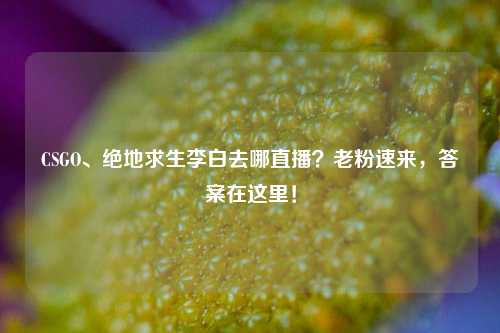 CSGO、绝地求生李白去哪直播？老粉速来，答案在这里！