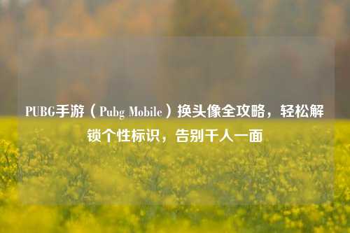 PUBG手游(Pubg Mobile)换头像全攻略,轻松解锁个性标识,告别千人一面