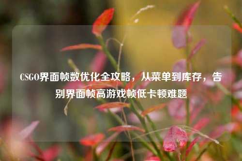 CSGO界面帧数优化全攻略,从菜单到库存,告别界面帧高游戏帧低卡顿难题