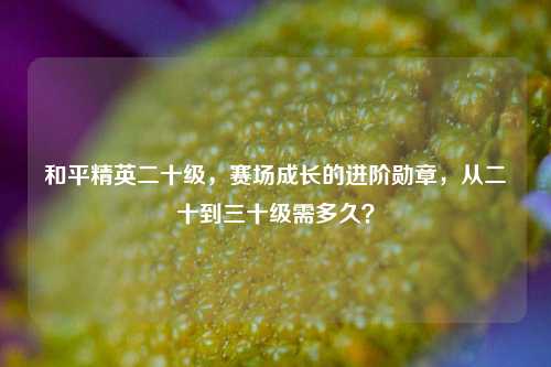和平精英二十级，赛场成长的进阶勋章，从二十到三十级需多久？