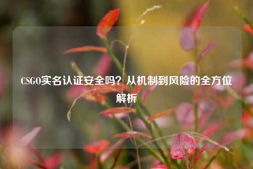 CSGO实名认证安全吗？从机制到风险的全方位解析