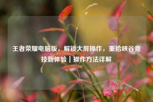 王者荣耀电脑版,解锁大屏操作,重拾峡谷竞技新体验|操作 详解