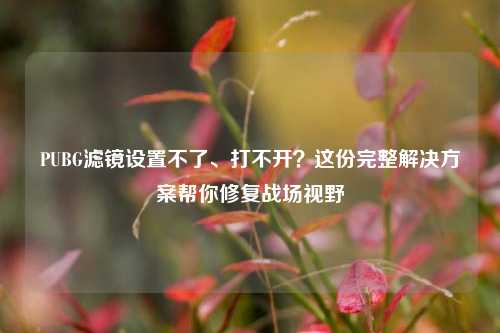 PUBG滤镜设置不了、打不开？这份完整解决方案帮你修复战场视野