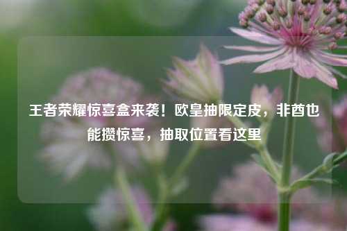 王者荣耀惊喜盒来袭!欧皇抽限定皮,非酋也能攒惊喜,抽取位置看这里