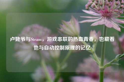 卢姥爷与Steam,游戏串联的热血青春,也藏着他与自动控制原理的记忆