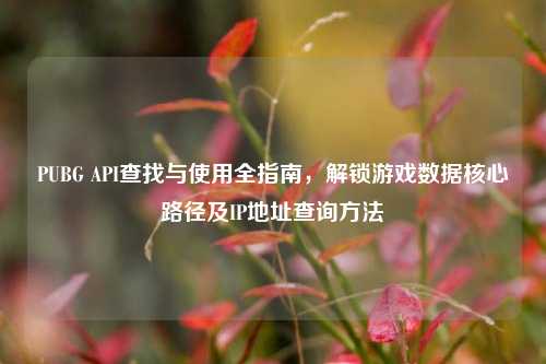 PUBG API查找与使用全指南,解锁游戏数据核心路径及IP地址查询
