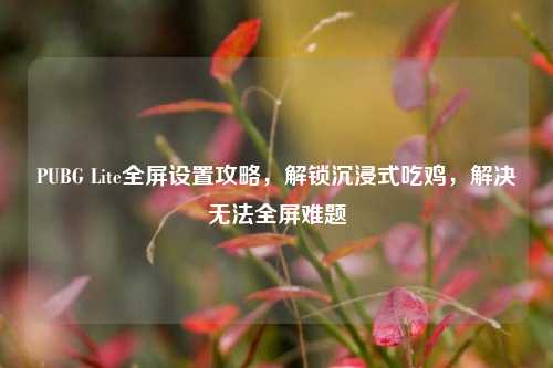 PUBG Lite全屏设置攻略,解锁沉浸式吃鸡,解决无法全屏难题