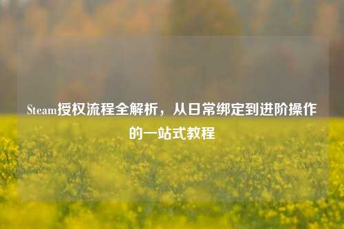 Steam授权流程全解析,从日常绑定到进阶操作的一站式教程