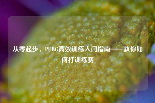 从零起步,PUBG高效训练入门指南——教你如何打训练赛