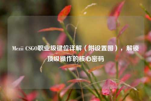 Mezii CSGO职业级键位详解(附设置图),解锁顶级操作的核心密码
