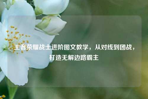 王者荣耀战士进阶图文教学,从对线到团战,打造无解边路霸主
