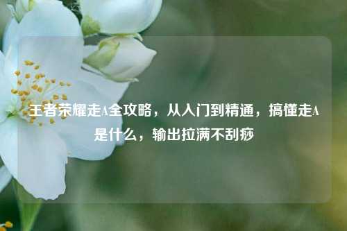 王者荣耀走A全攻略,从入门到精通,搞懂走A是什么,输出拉满不刮痧