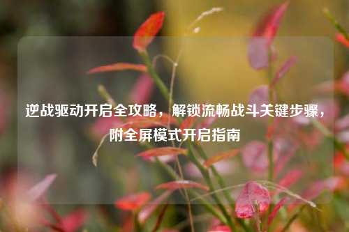 逆战驱动开启全攻略,解锁流畅战斗关键步骤,附全屏模式开启指南