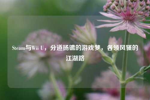 Steam与Wii U,分道扬镳的游戏梦,各领 的江湖路